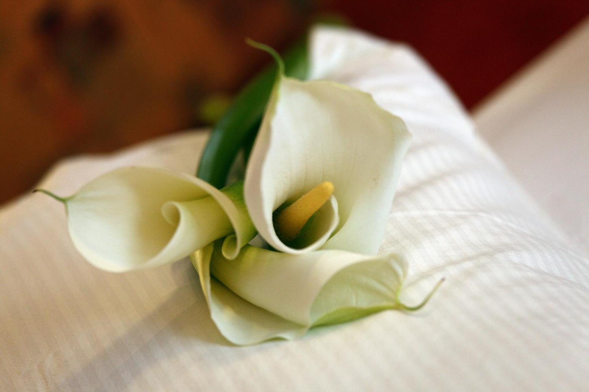 Wellness Hotel Zlata Lipa Decin Ruang foto